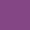 Purple Orchid Purple Orchid